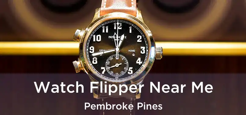  Watch Flipper Near Me Pembroke Pines